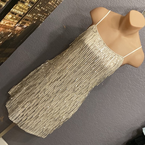 ALTAR’D STATE - dress: silver mesh w allover sequin fringe, lined w zipper - XL - Picture 16 of 16